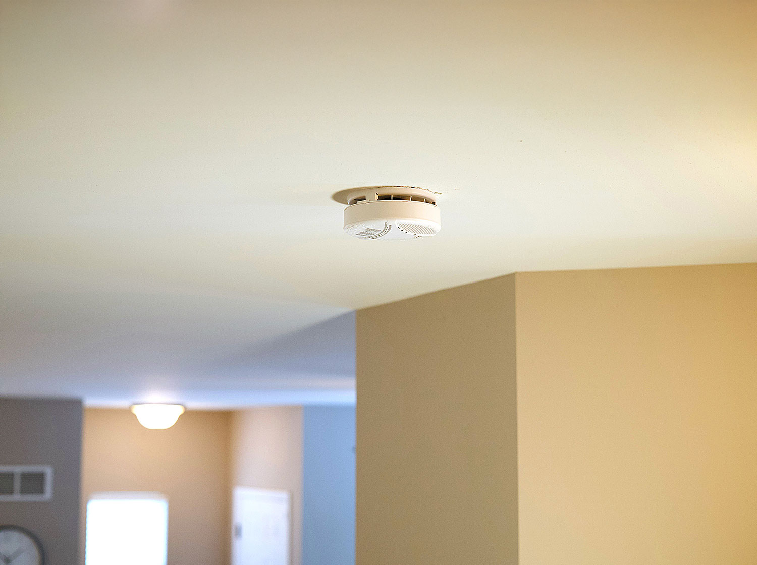 ShieldPro Smoke and CO detector product