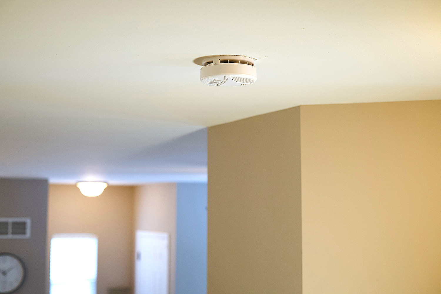 ShieldPro Smoke and CO detector product